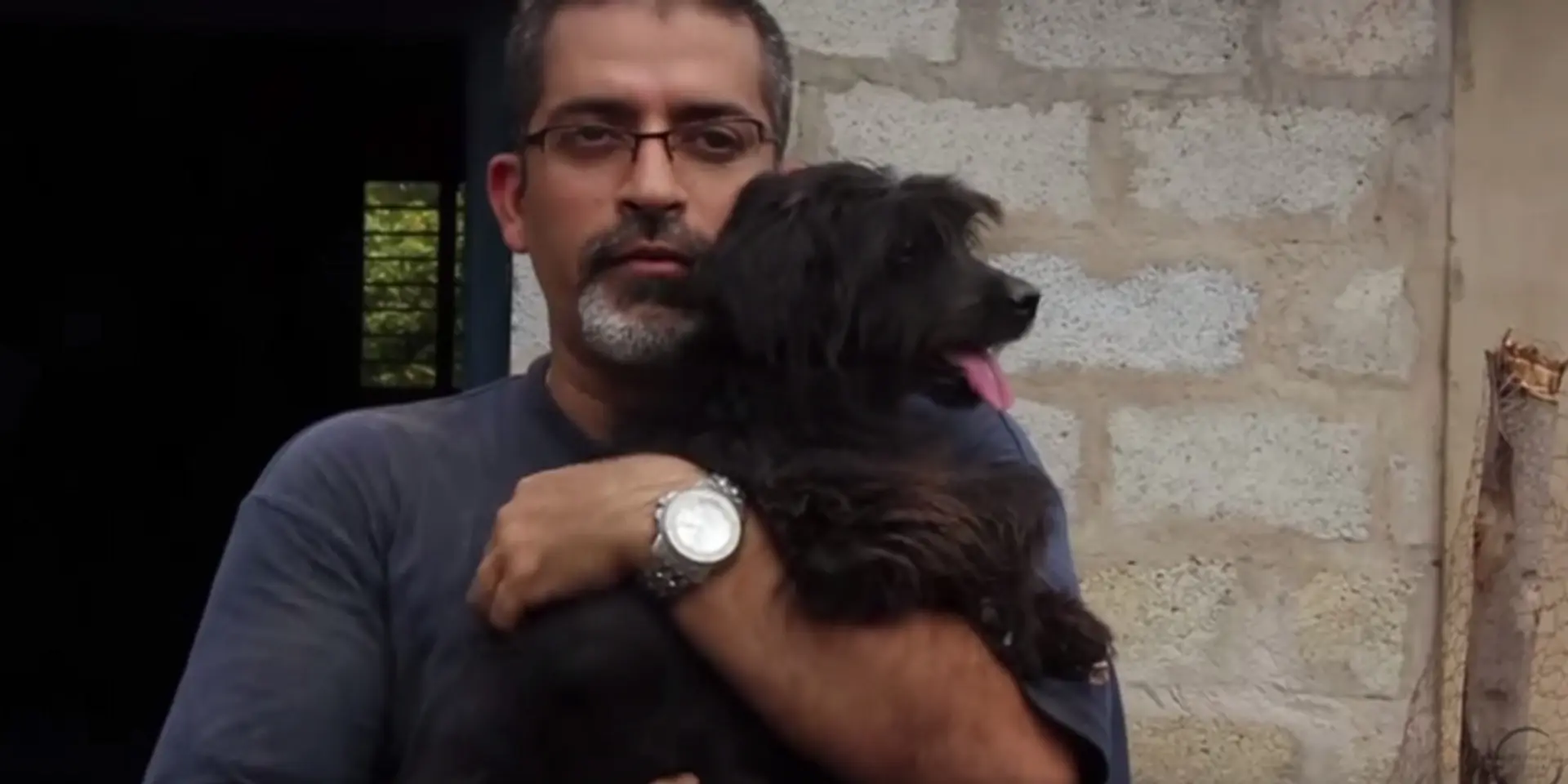 Meet the software engineer from Bengaluru, who is providing shelter to over 700 rescued dogs