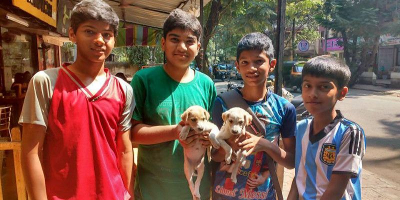 This Mumbai-based organisation finds homes for rescued animals and takes care of their well-being