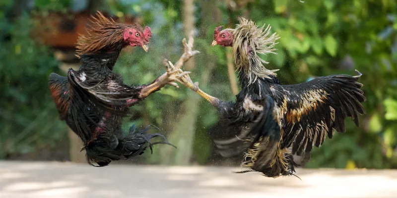 Image : shutterstock