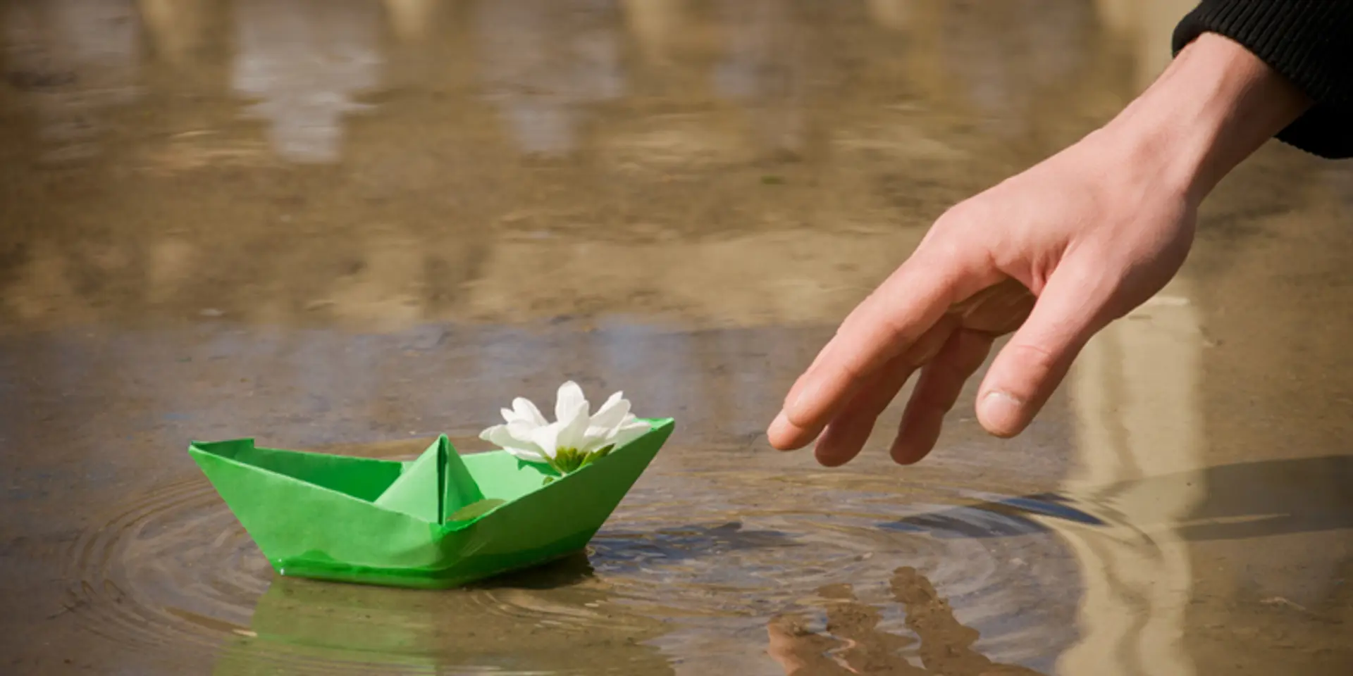 The entrepreneurship myth, and why you should not take it too seriously