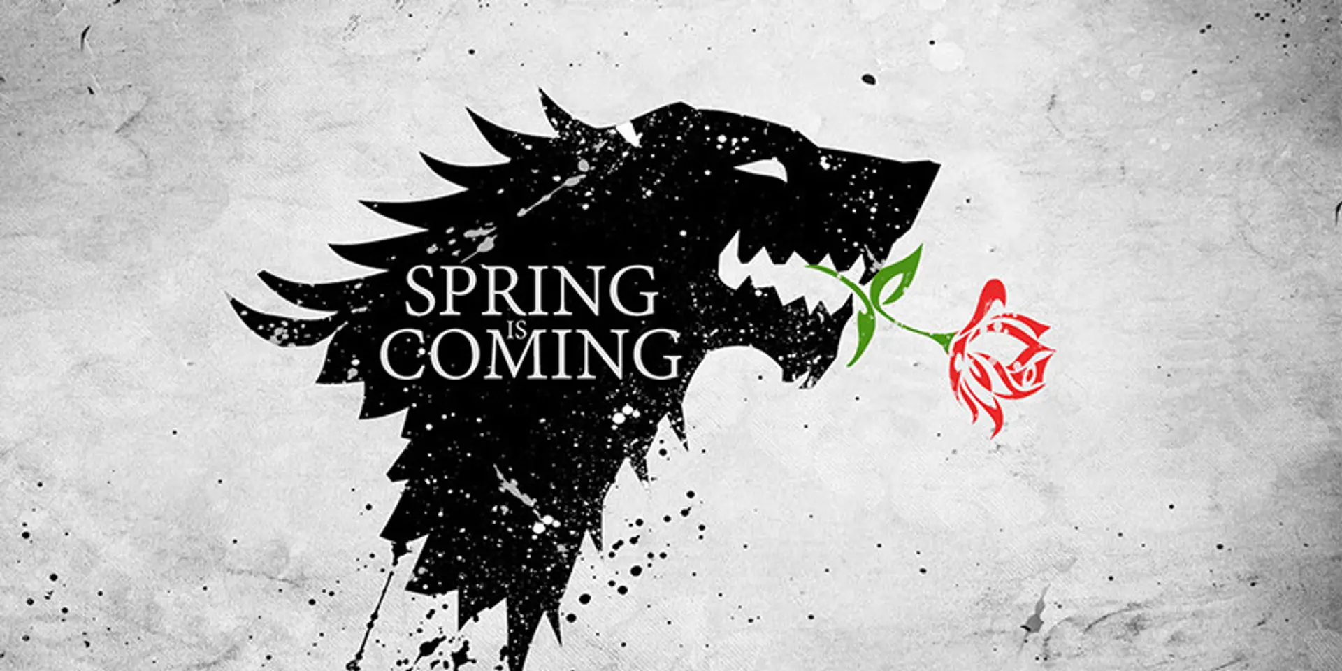 Winter’s ending! Startup founders, are you ready for spring?