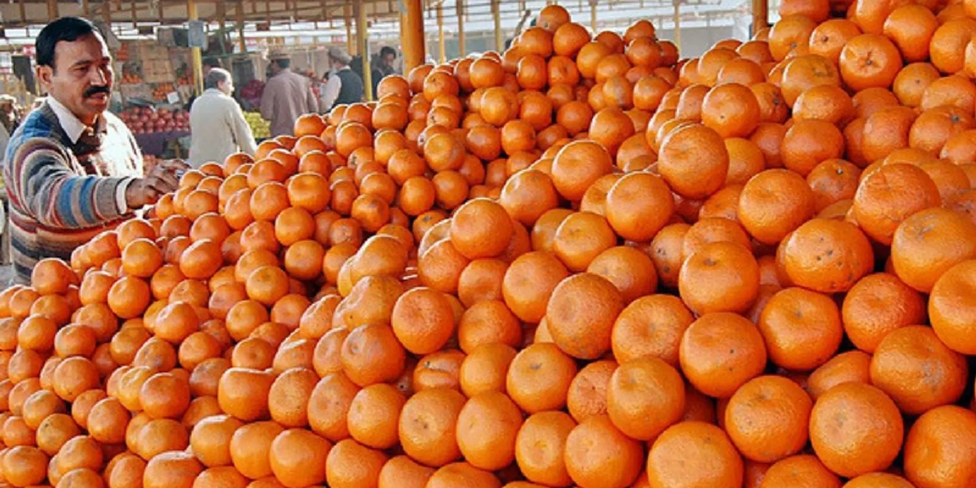From selling fruits on a cycle to expanding his business to 12 countries, Surinder Singh has seen it all