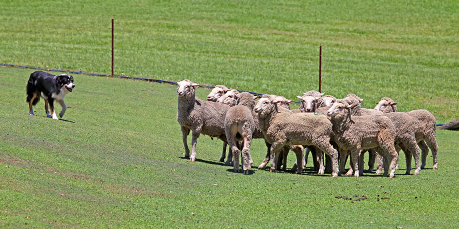 Challenges of managing a large team, and how to fix them