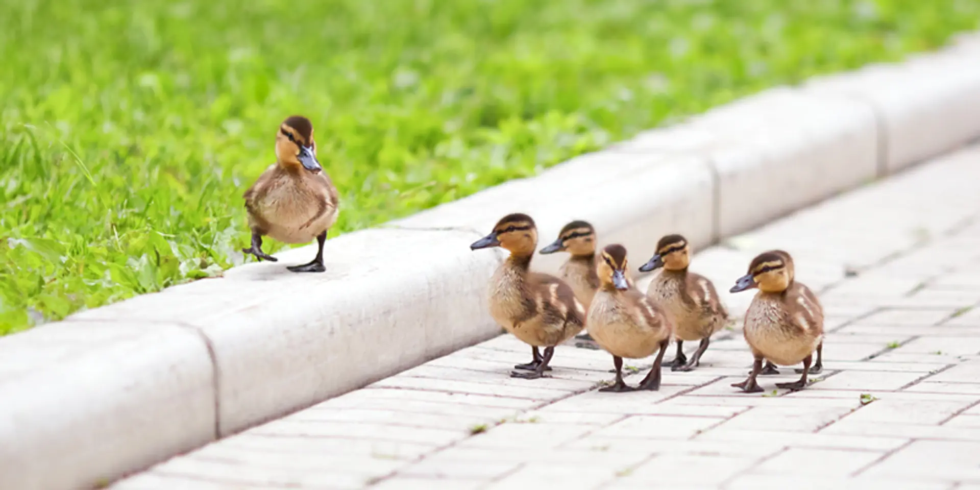 7 habits of a good leader
