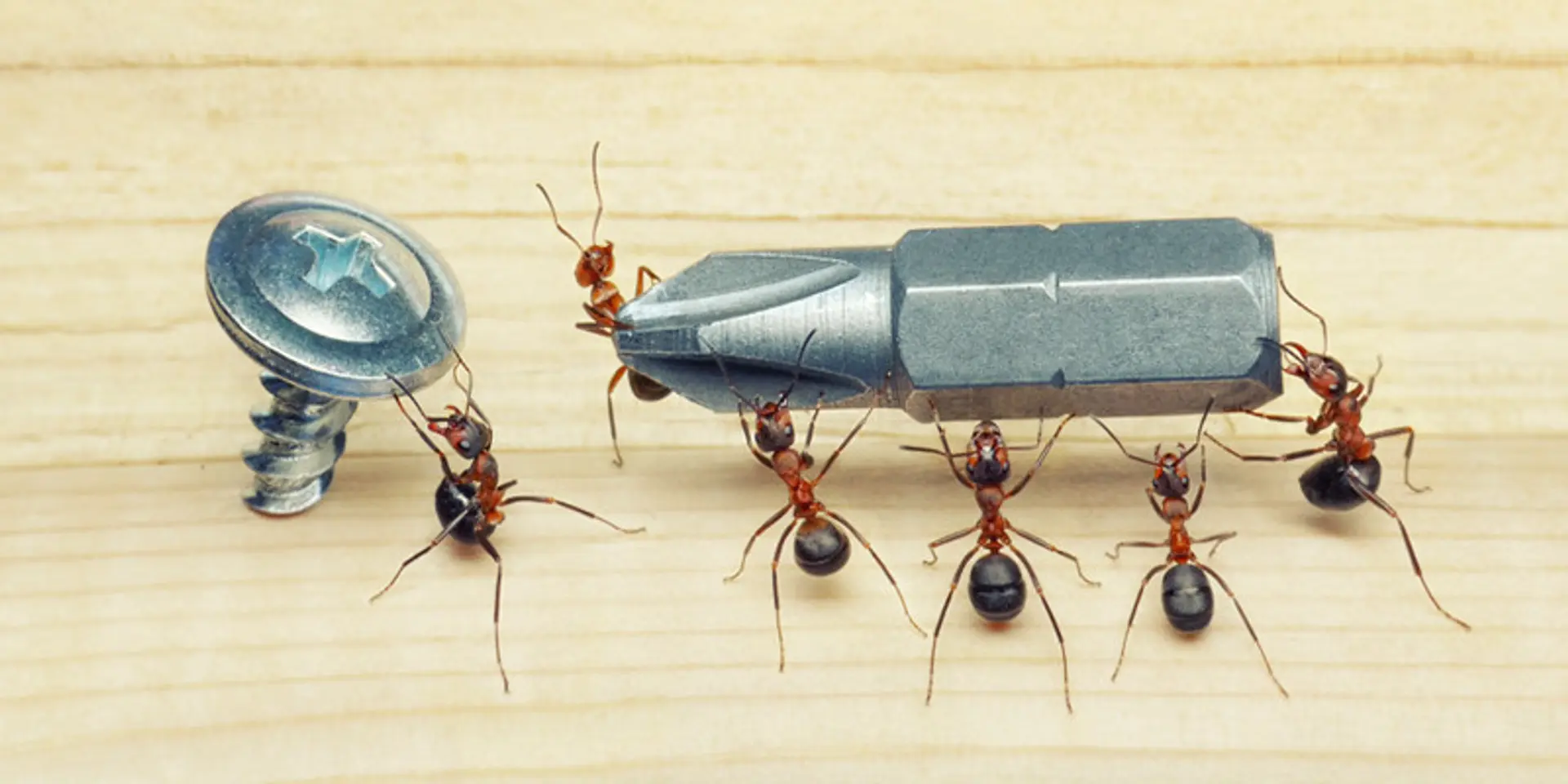 Product management and related resources for startups