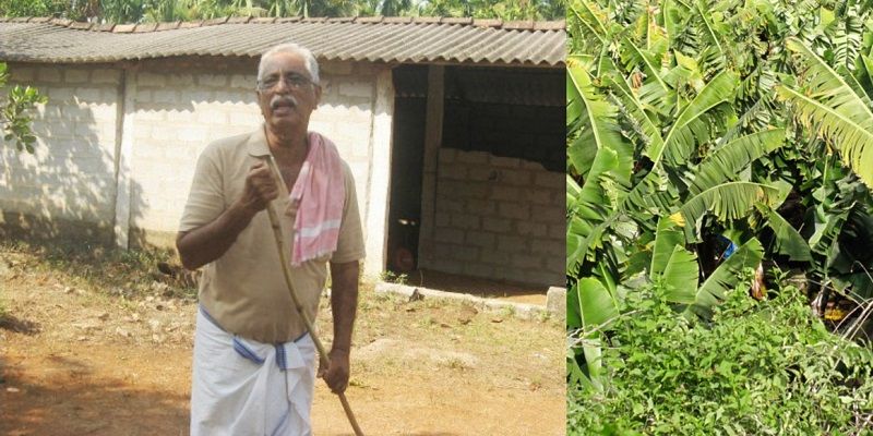 This ex-lecturer from Karnataka has turned 25 acres of barren land into a lush green farm using rainwater harvesting