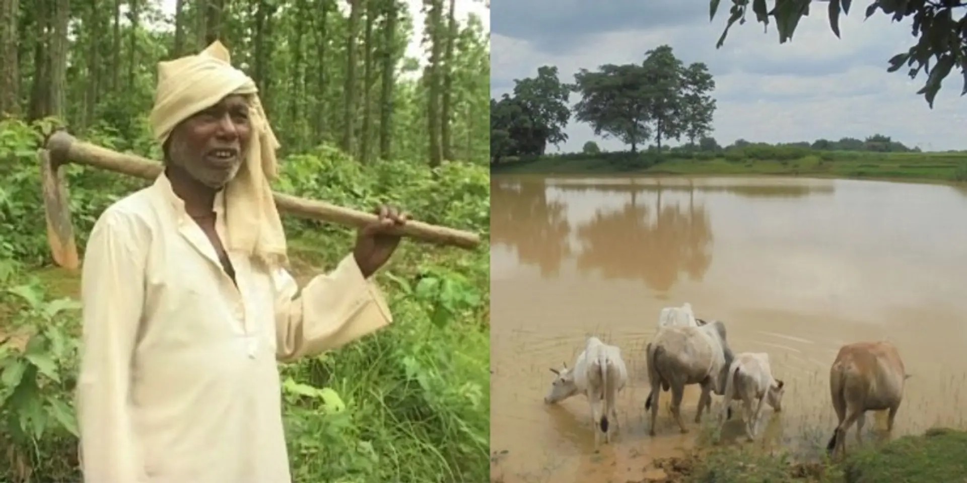Meet the 85-year-old waterman of Jharkhand who has helped bring water and forest to 51 villages