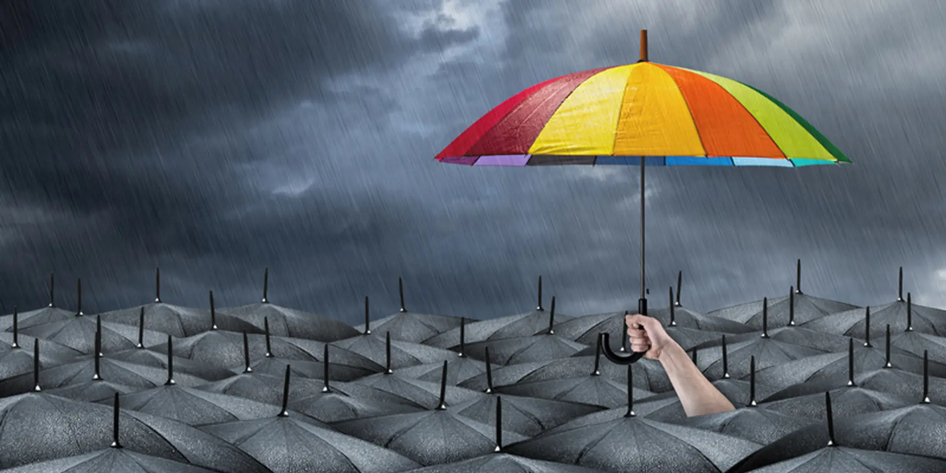 Here are 5 ways to create brand equity through design