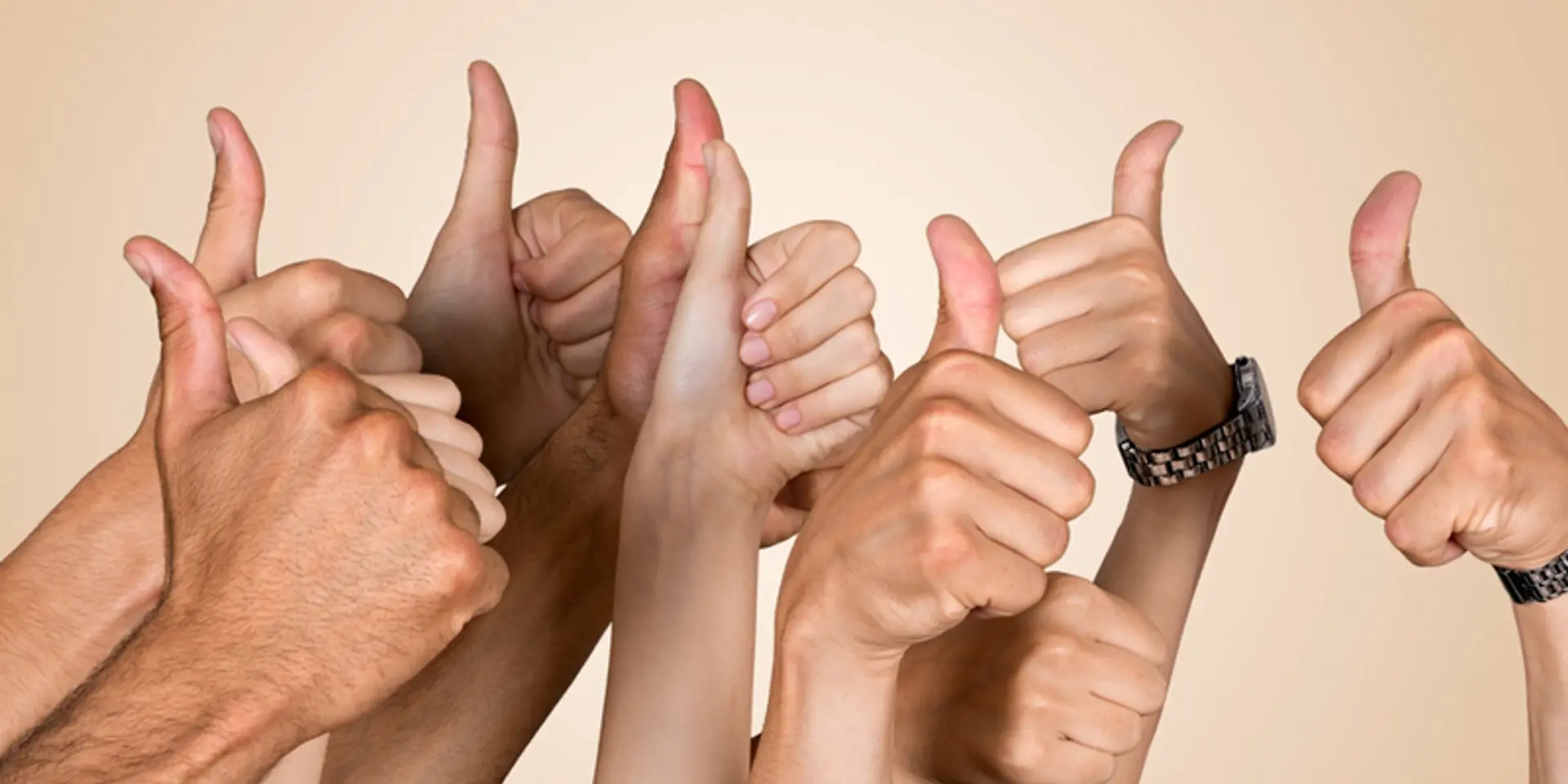 How to create an employee advocacy programme