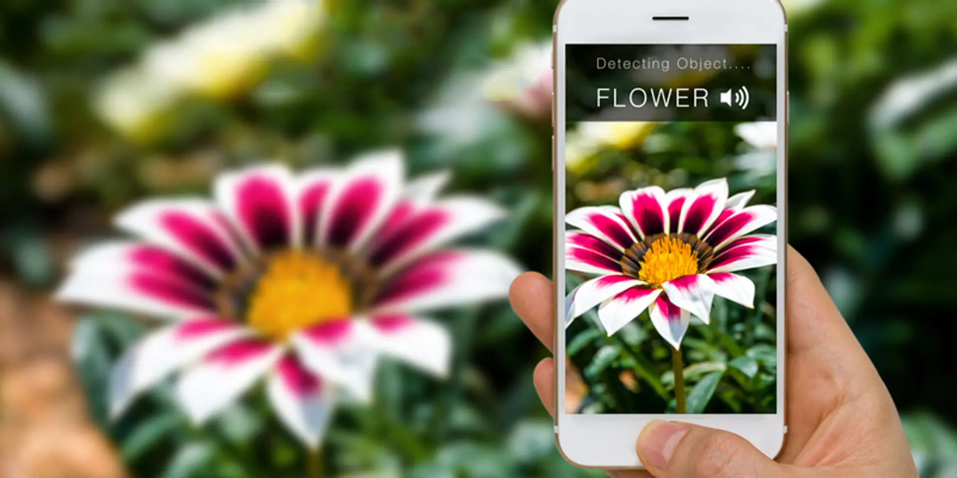 This startup created an app that allows the visually impaired to ‘see’ the world, through artificial intelligence