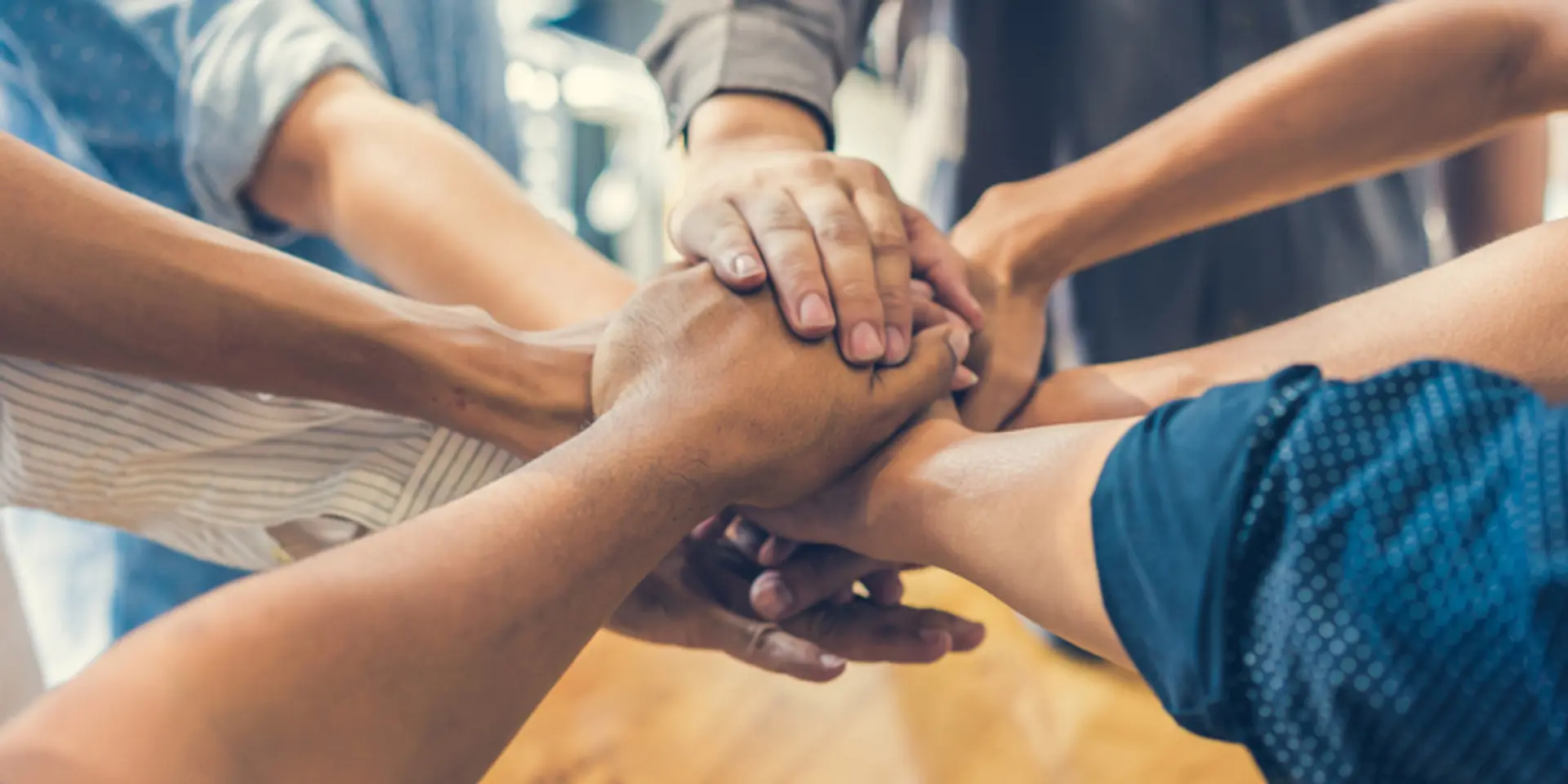Your go-to guide for startup team management