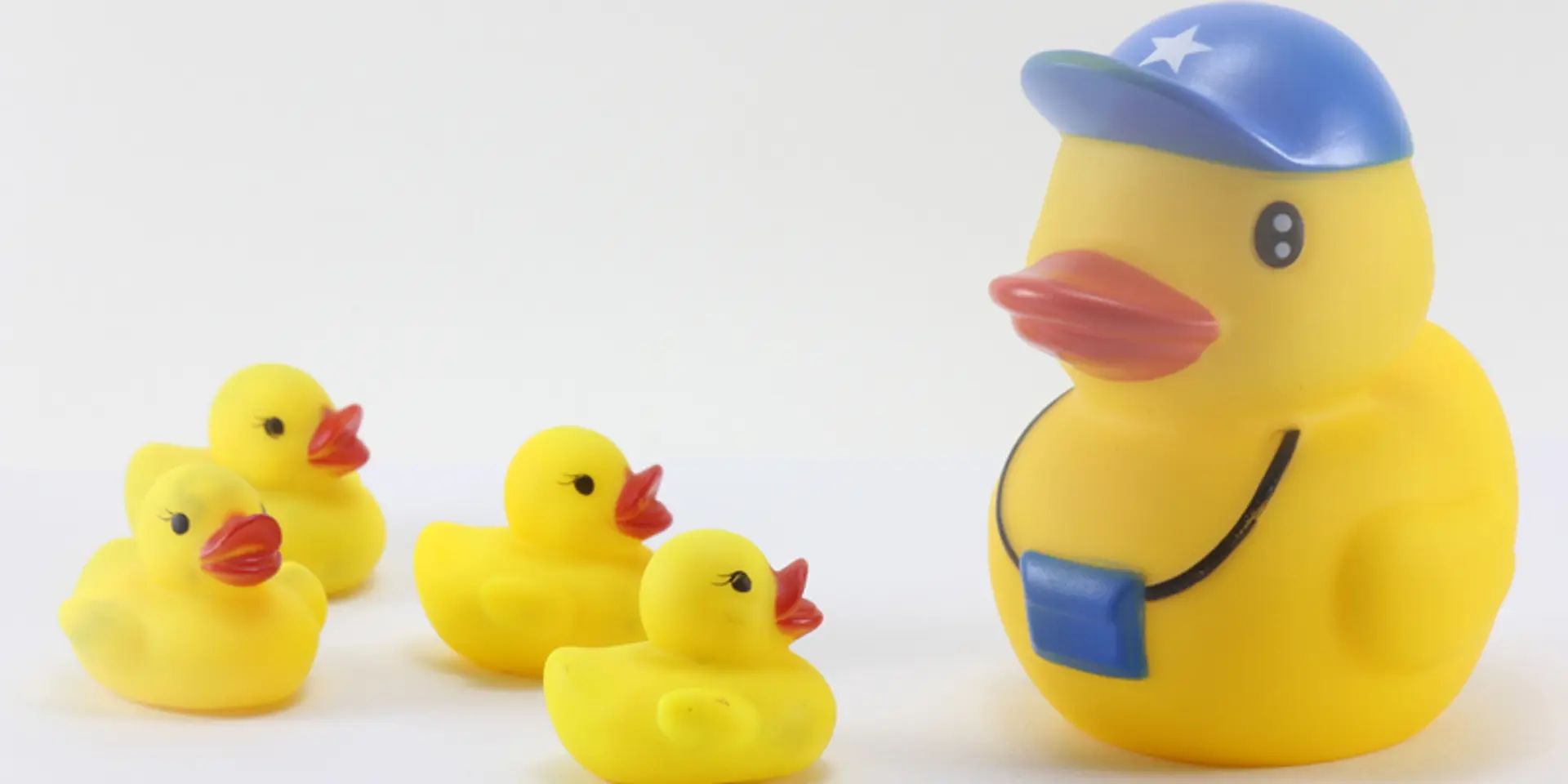 The importance of mentors for social entrepreneurs