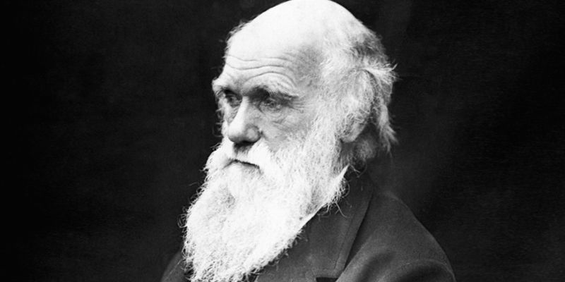 Can the 21st century identify with Darwin’s mental illness?
