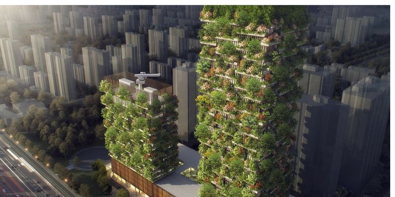 China is building 'Vertical Forest' to combat increasing pollution