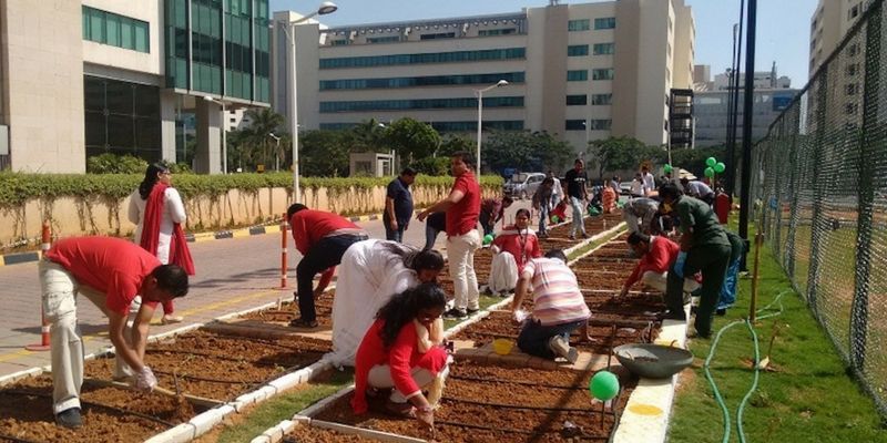 Bengaluru's Manyata Tech Park is now organic, employees grow their own food
