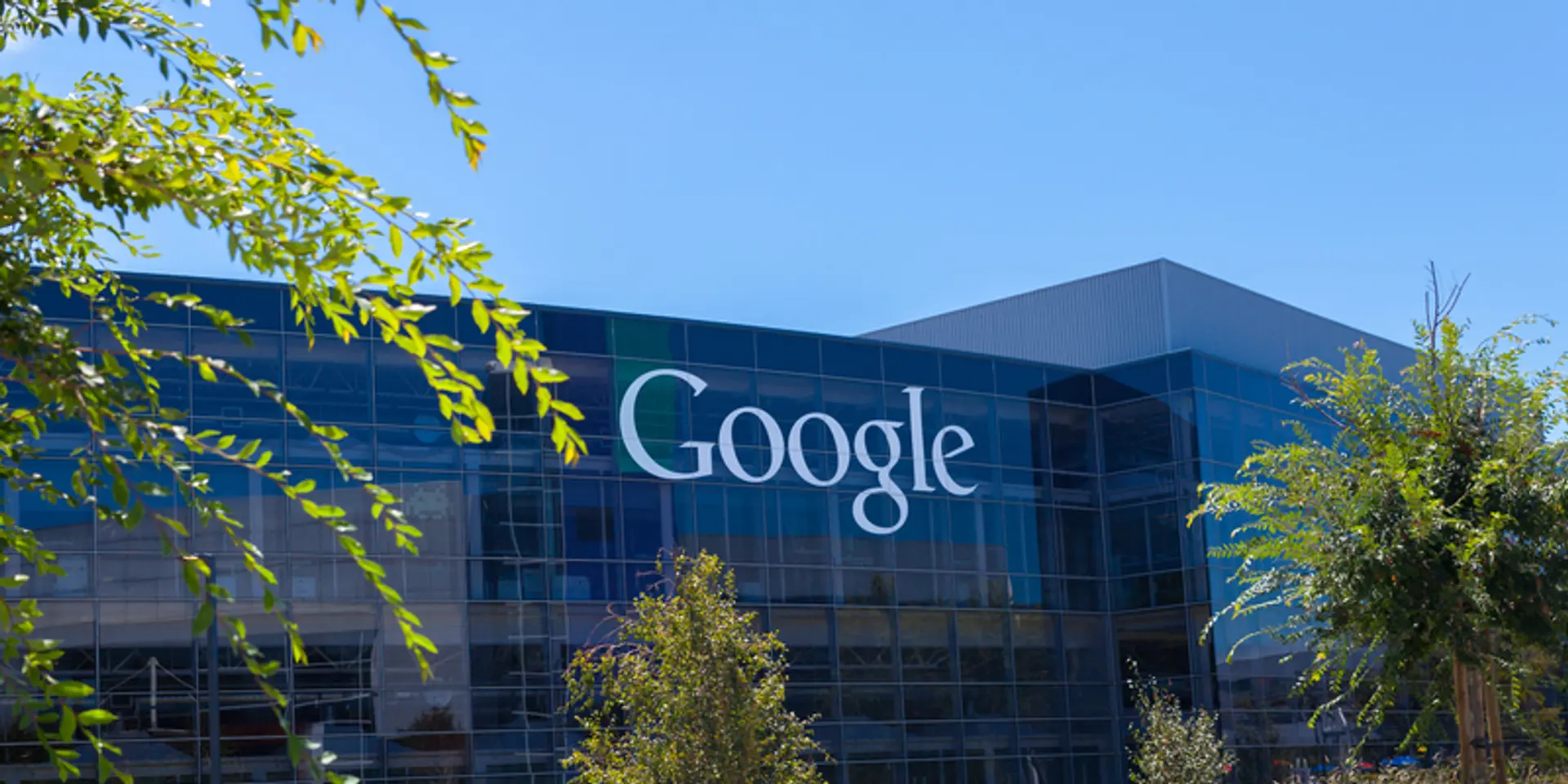 The best companies to work for in 2017
