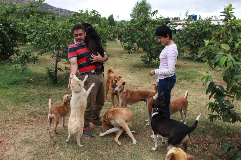 The ‘Papa’ of over 700 stray dogs is now giving canine soldiers the