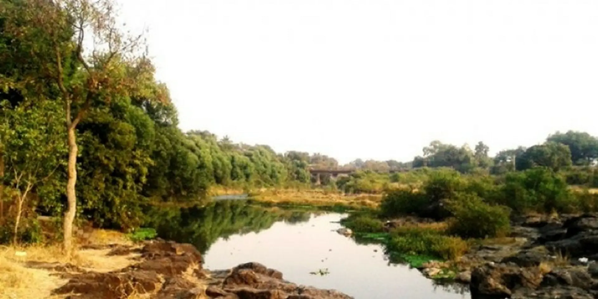 Half of India's interstate rivers plagued by pollution and poor water quality
