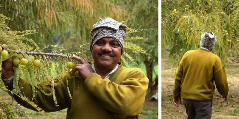 Amar Singh, the auto driver who became a millionaire by building an empire of amla murabbas in rural Rajasthan
