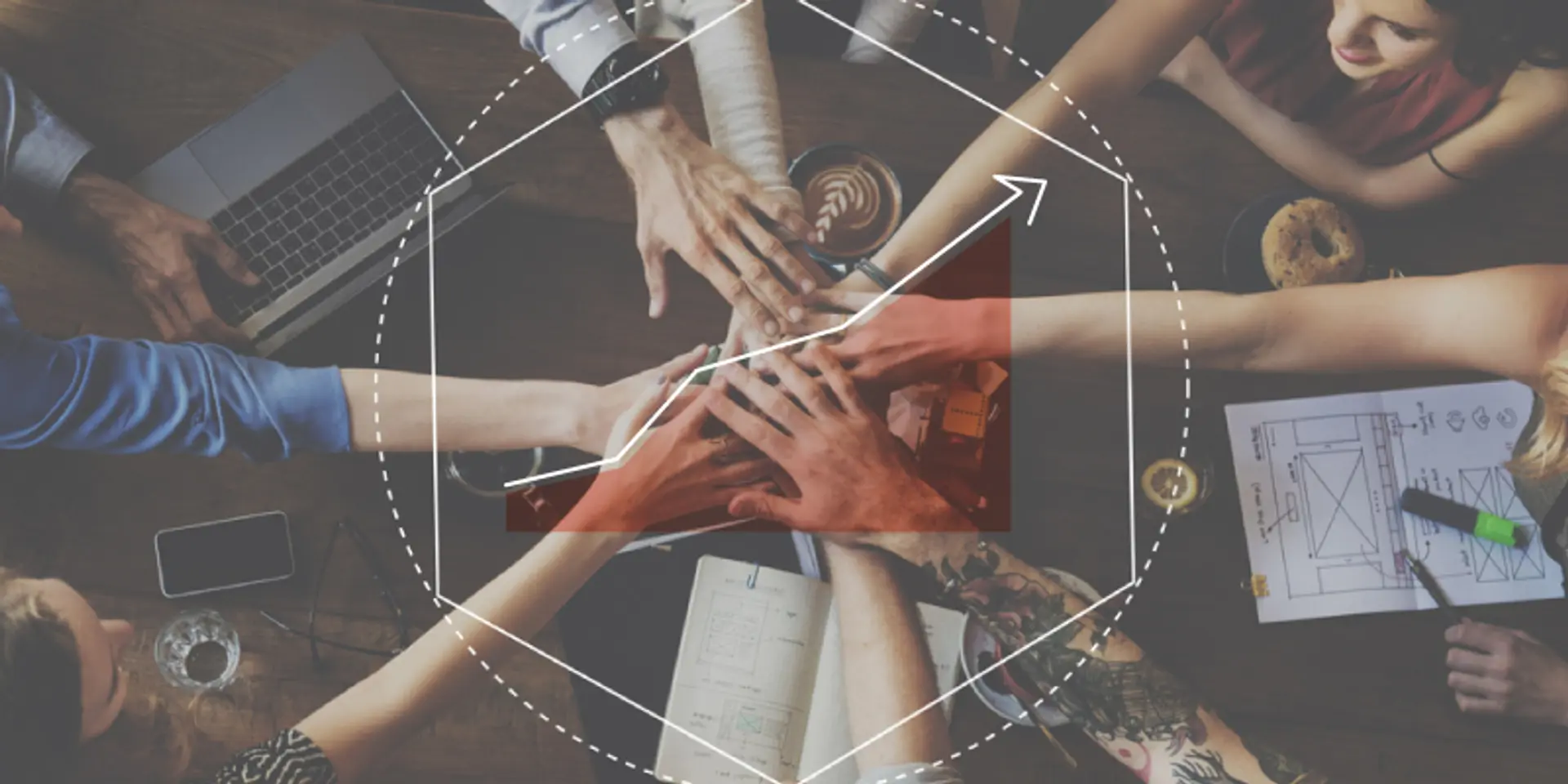 How to make sure that your company doesn't lose its culture while scaling up