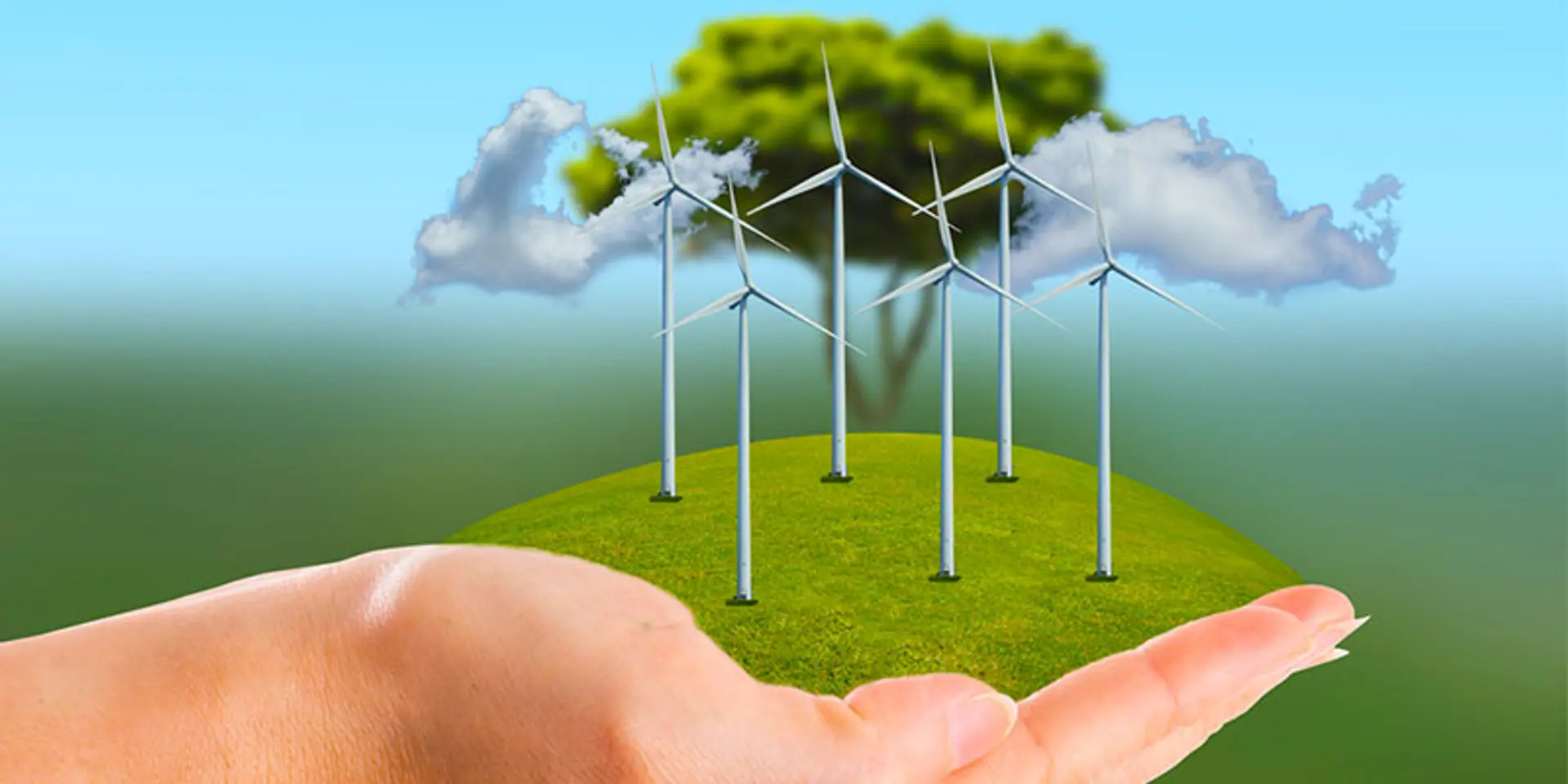 Human capital: A primary barrier to scale for Indian cleantech startups