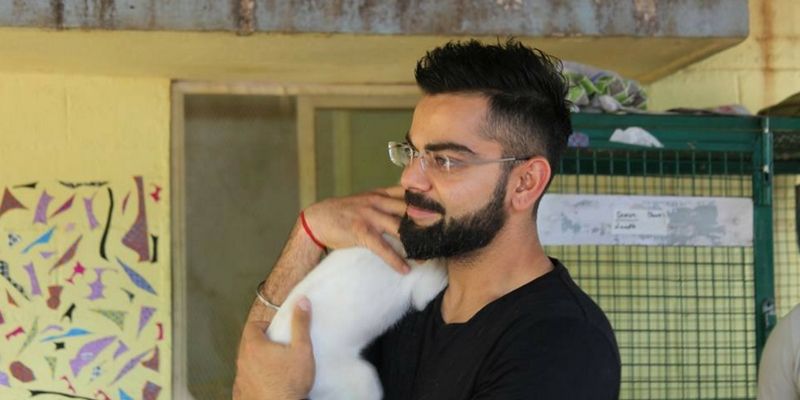 Virat Kohli, a man of kindness, passively adopts 15 rescued dogs
