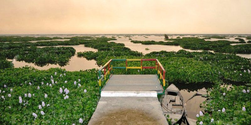 Harike, the wetland born out of the Indus Treaty between India and Pakistan, is facing serious ecological threat