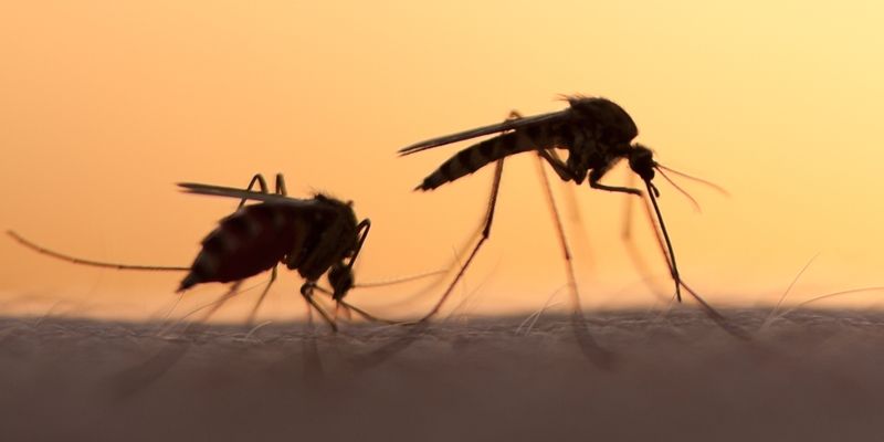 90pc of malarial deaths happen in rural India: how prepared are we?