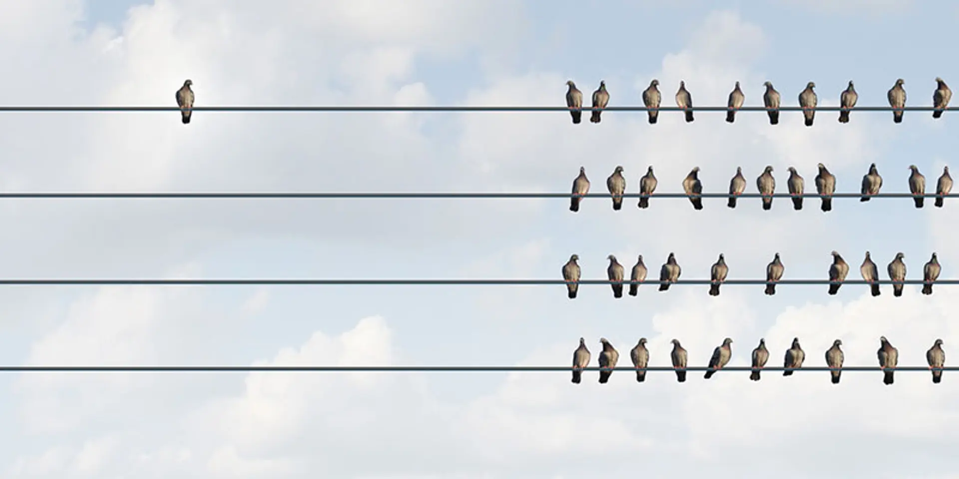 How to create a culture of transparency and innovation at your workplace