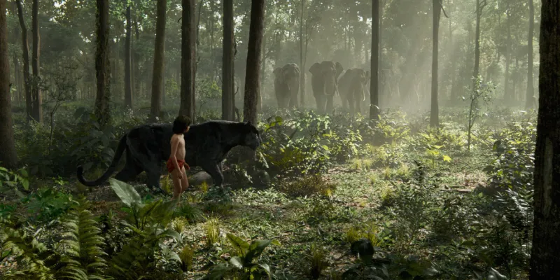 https://backend.yourstory.com/wp-content/uploads/2017/05/The-jungle-book-jungle.jpg