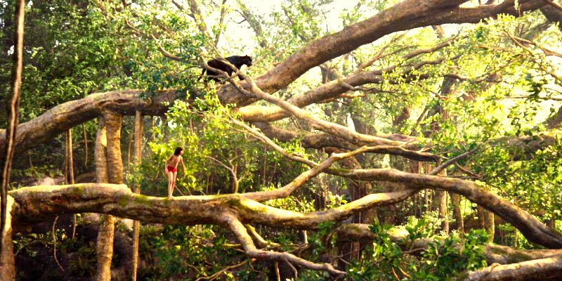 Inside the jungles of 'The Jungle Book'