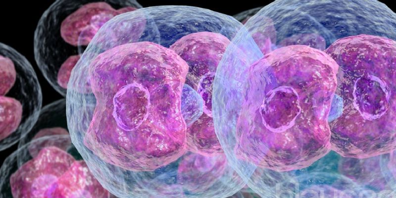 Hodgkin's lymphoma patient scores 91pc in 10th boards