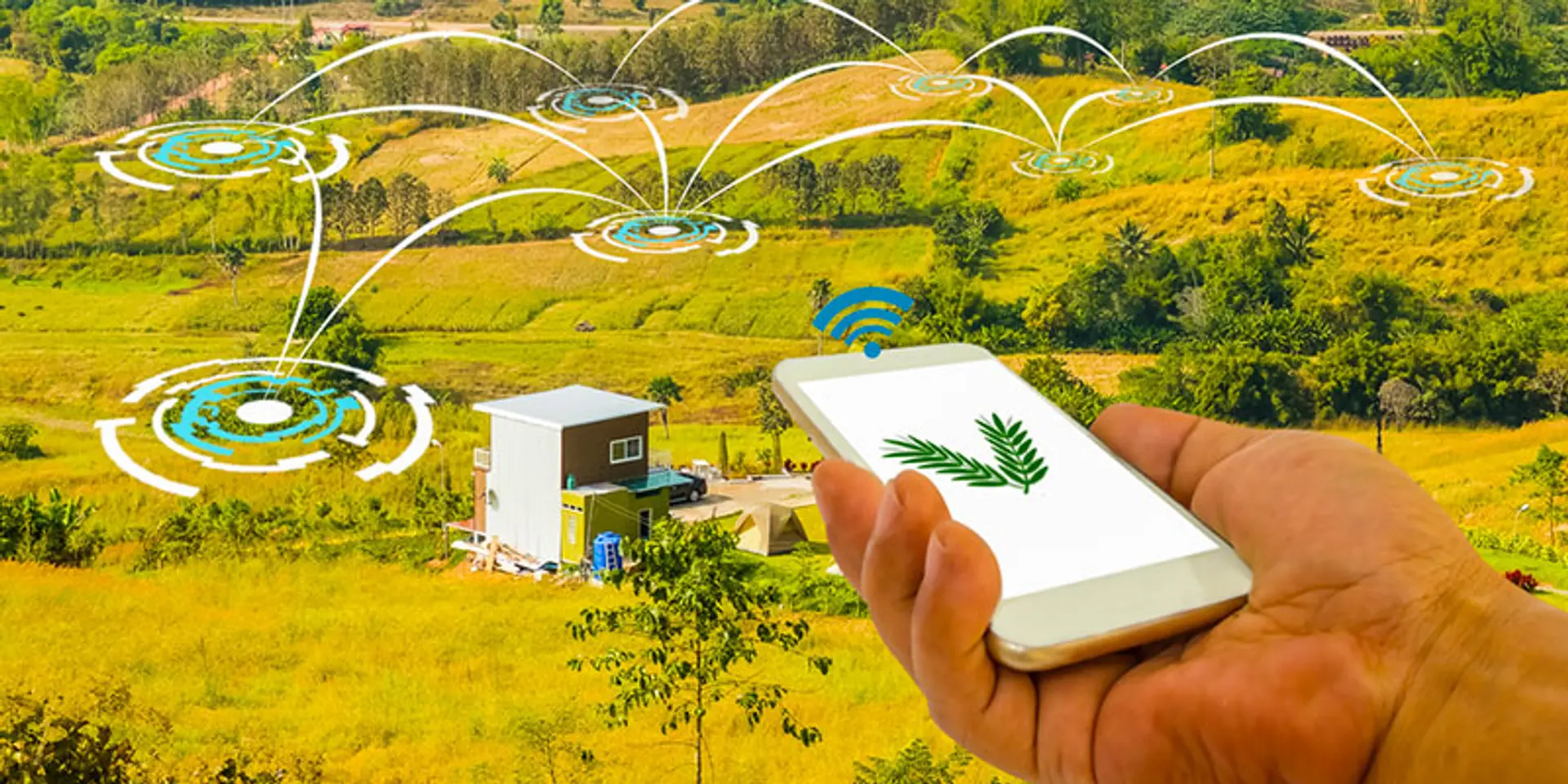 What can today’s startups learn from past agricultural revolutions
