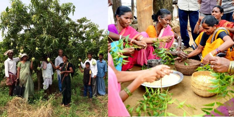 This Hyderabad-based organisation has helped over 2.5 lakh farmers through permaculture