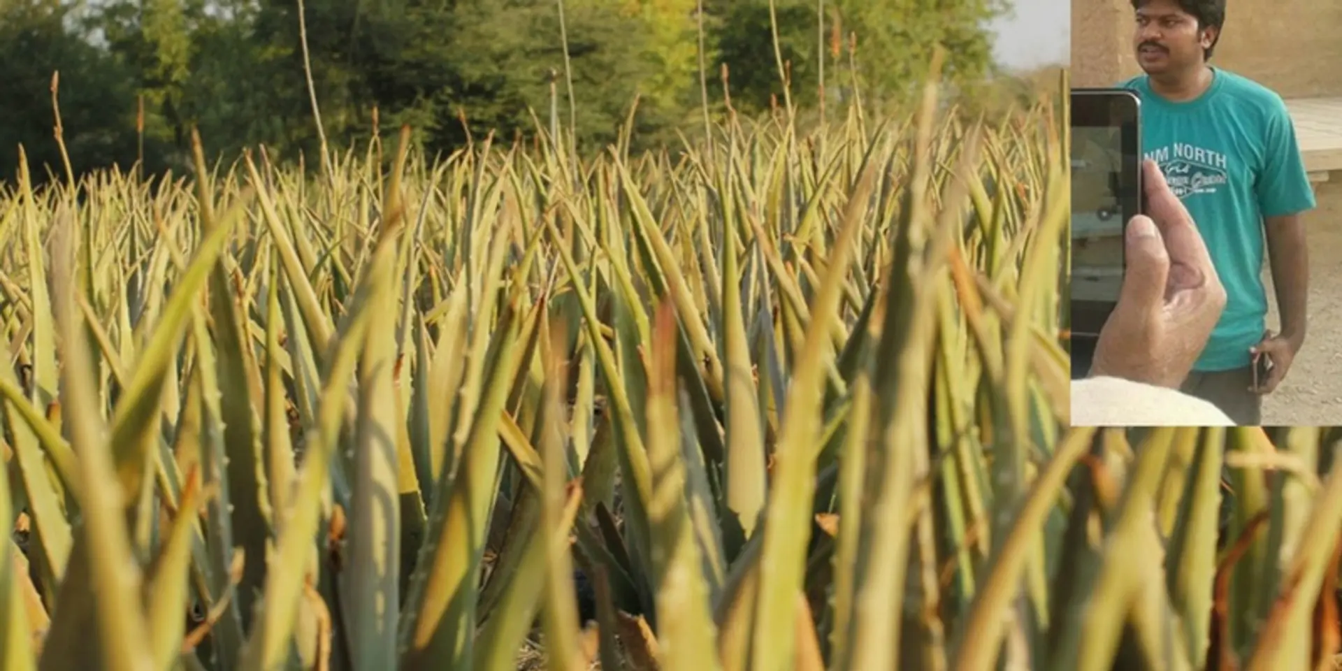 Meet the man who resigned from his government job and is now earning crores through farming