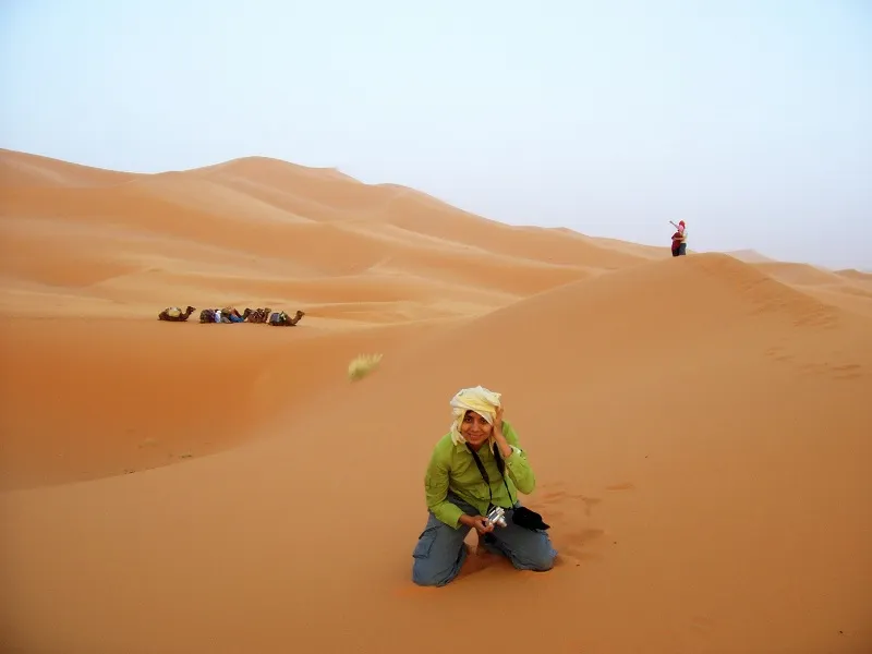Anima in the sand dunes of the Sahara desert