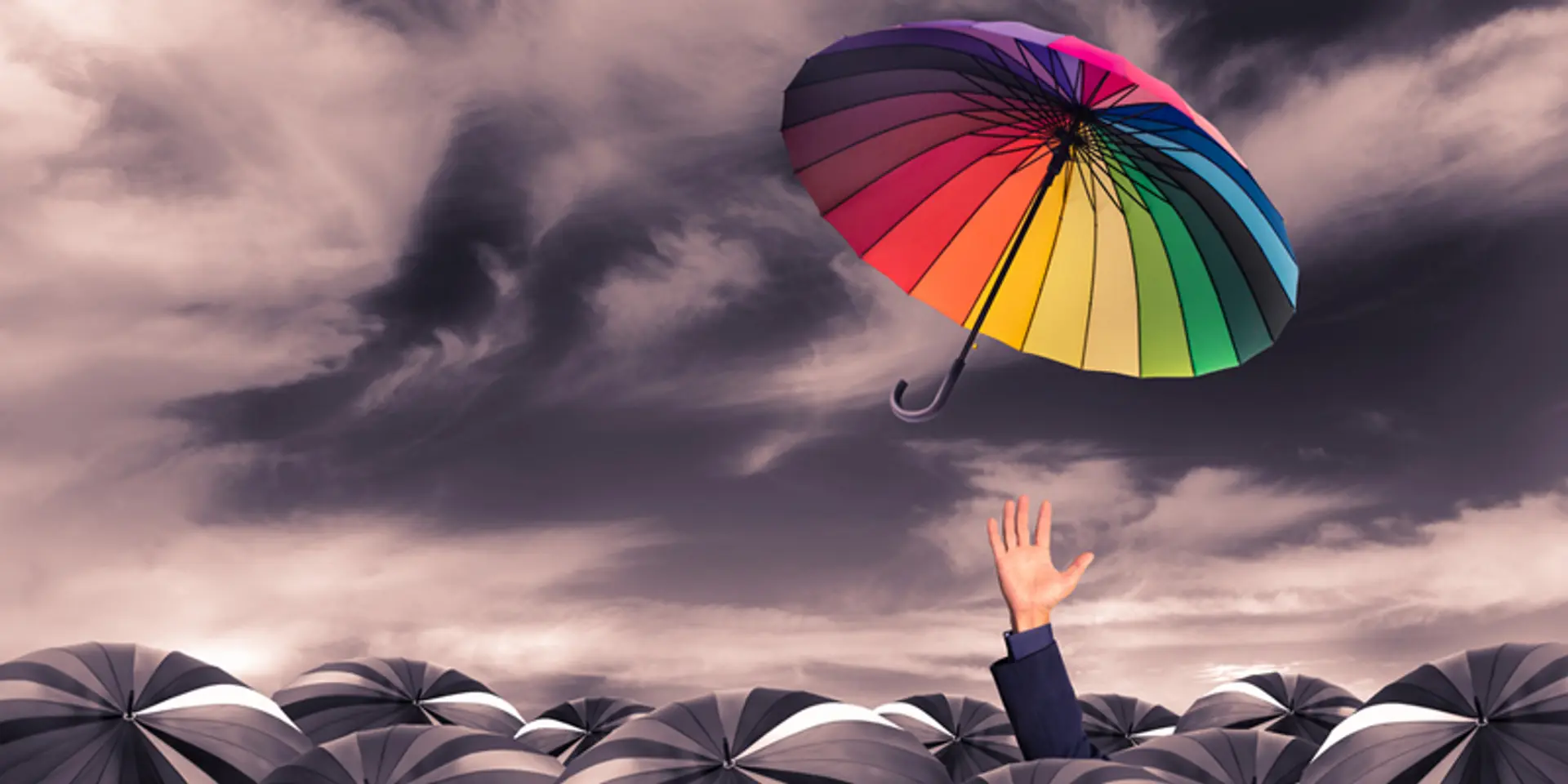 Here is the trick to professional success