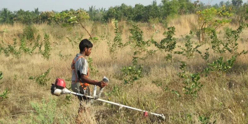 Meet The Engineer Who Quit His Job And Planted Over 40 000 Trees