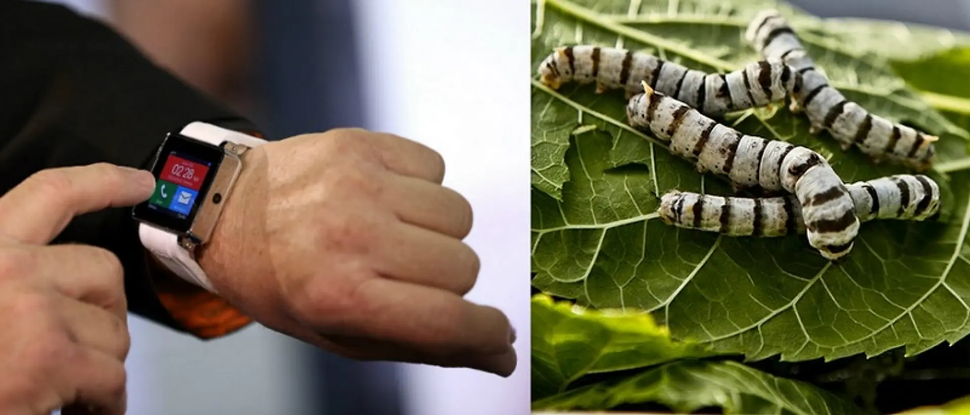 IIT-Kharagpur develops wearable technology from silk which can be used by soldiers