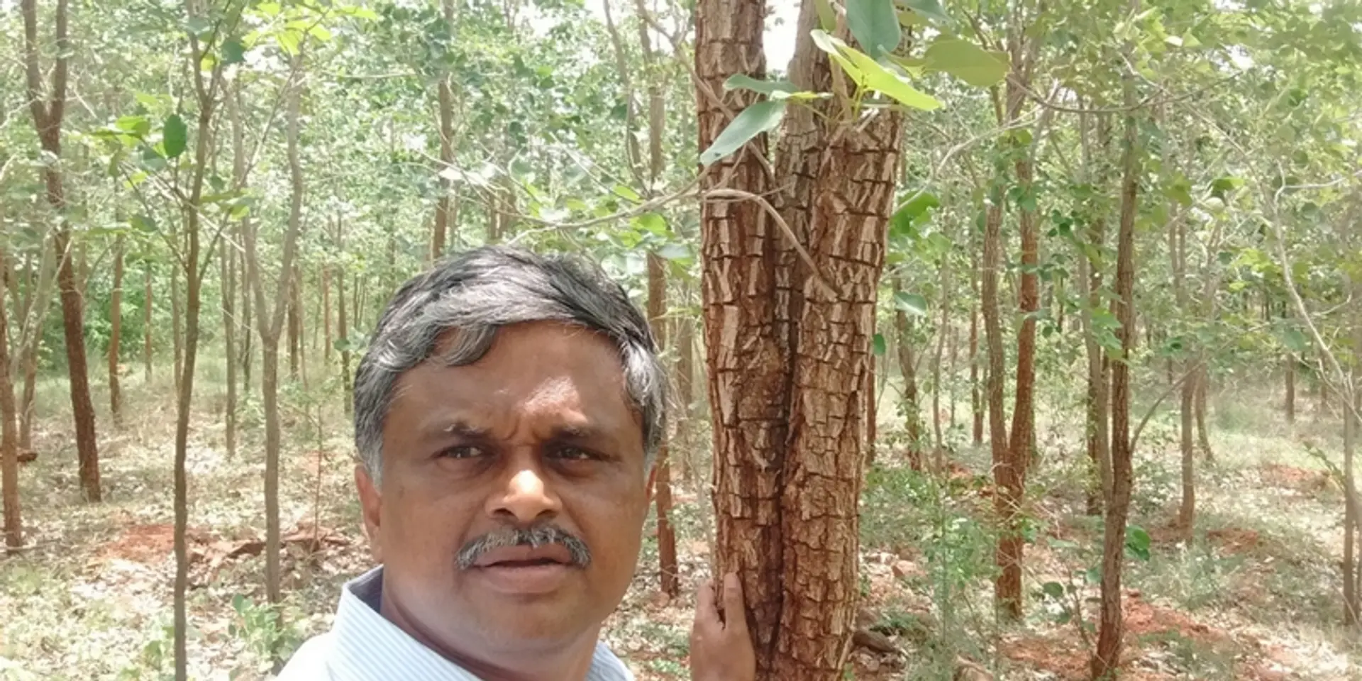 Meet the engineer who quit his job and planted over 40,000 trees in 14 ...