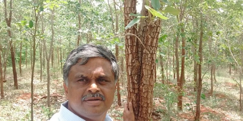 Meet the engineer who quit his job and planted over 40,000 trees in 14 years
