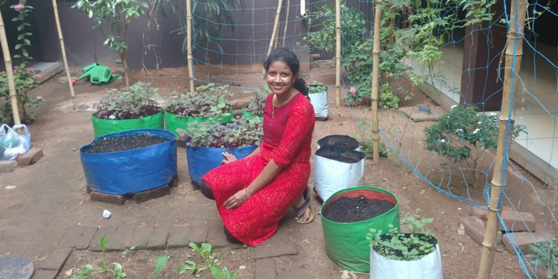With myHarvest, city dwellers are growing their own pesticide-free food