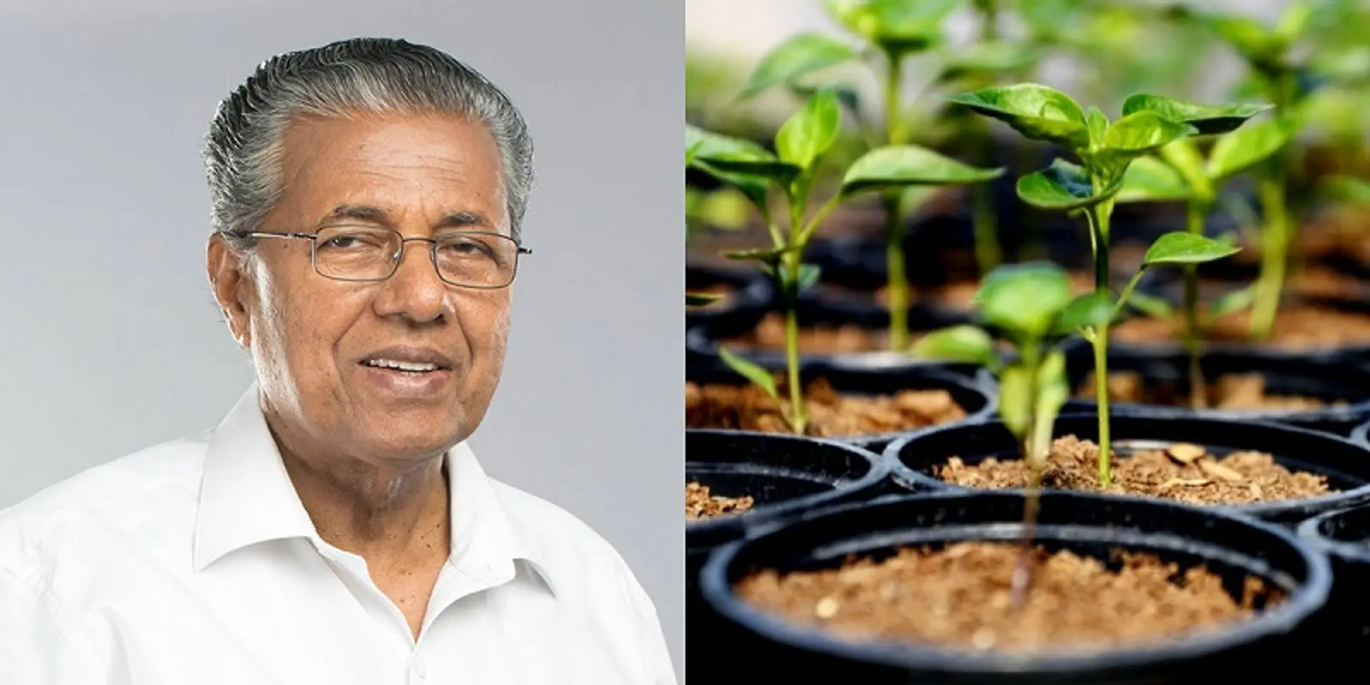While #WorldEnvironmentDay was trending on social media, this state planted 1cr saplings