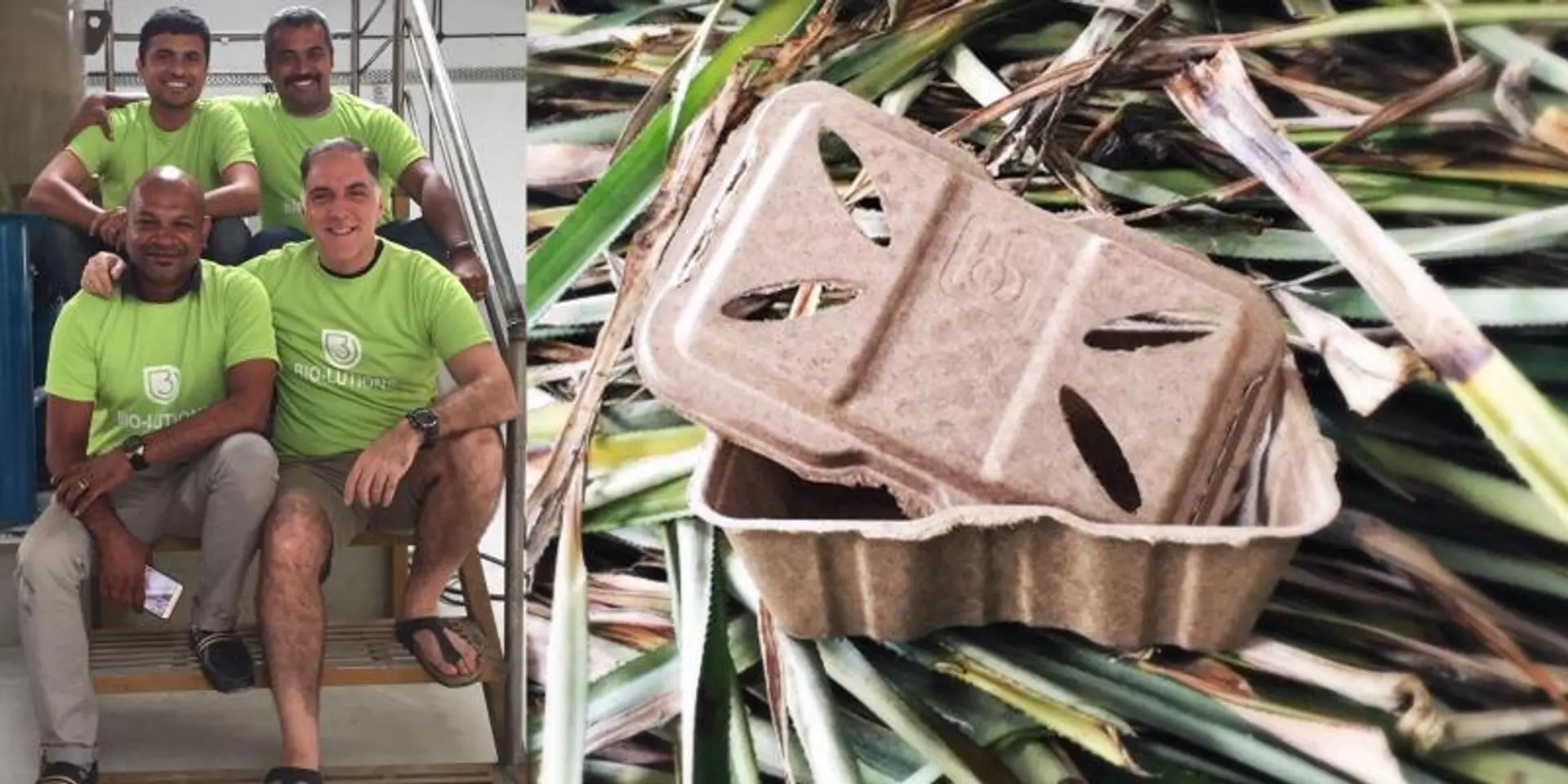 Bio-lutions turns agricultural waste into biodegradable packaging