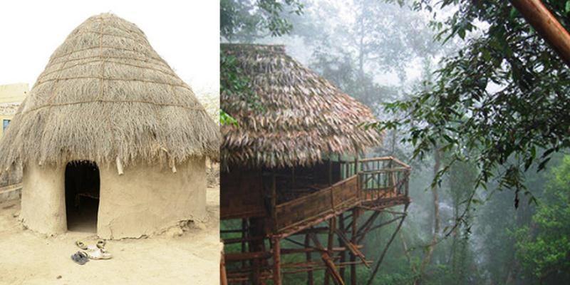Back to basics: when mud, bamboos, and timber houses help fight climate change