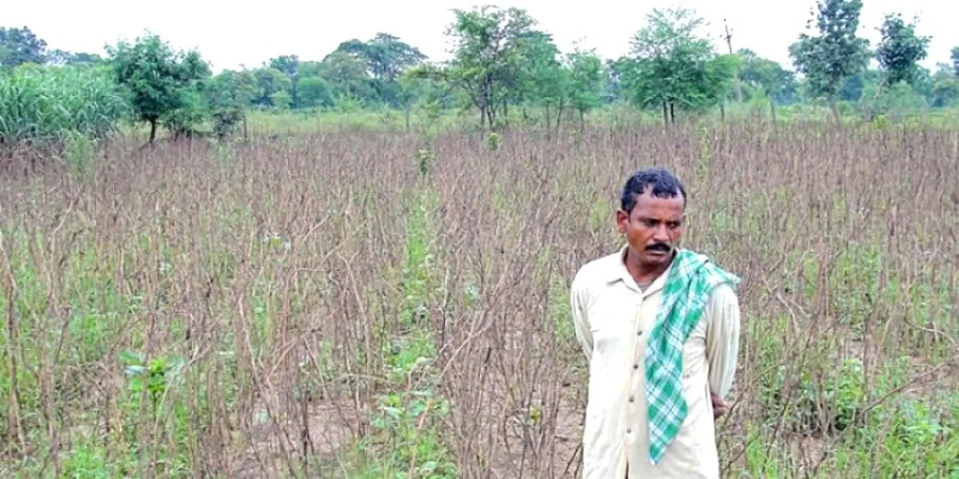 Can we save our farmers?