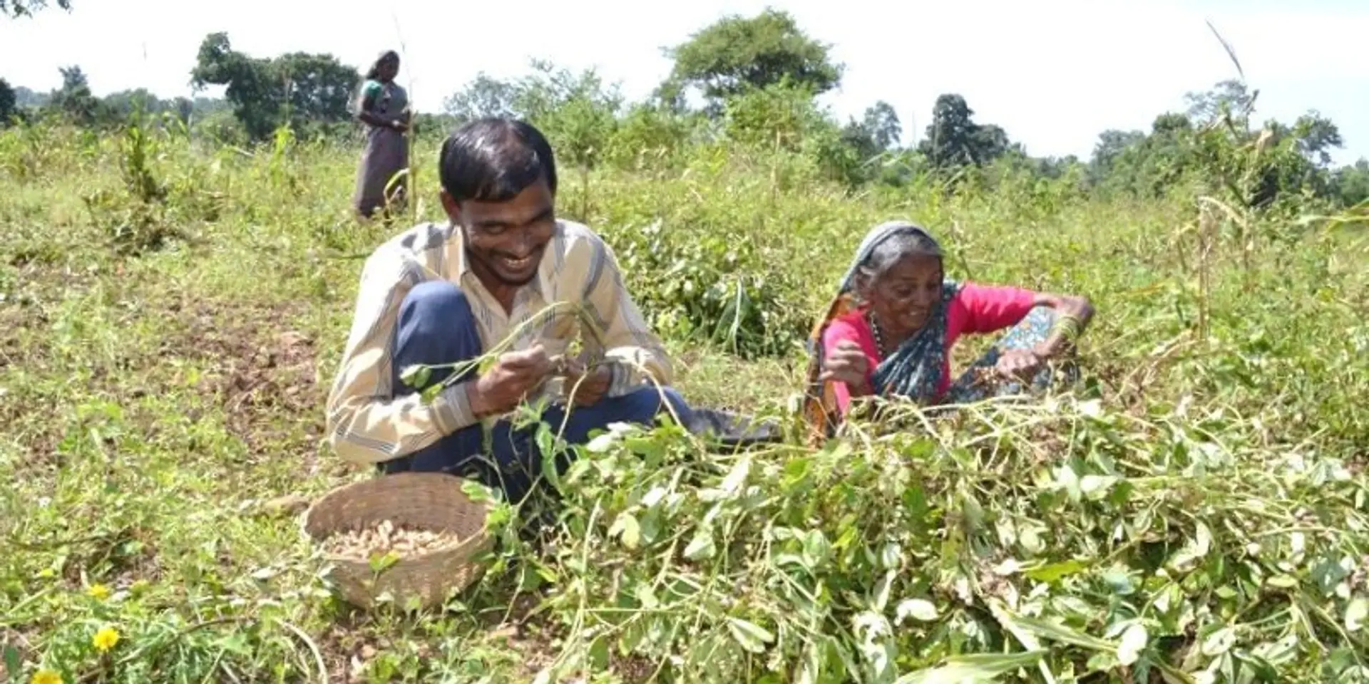 When organic farming mainstreams persons with disabilities