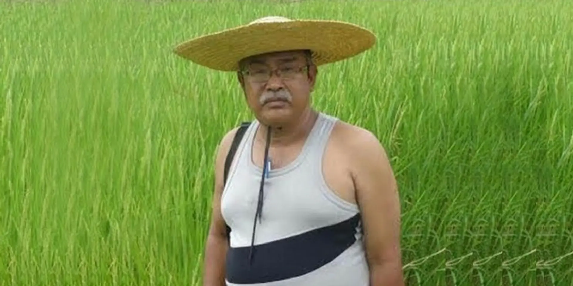 This 63-year-old farmer from Manipur is growing 165 types of rice