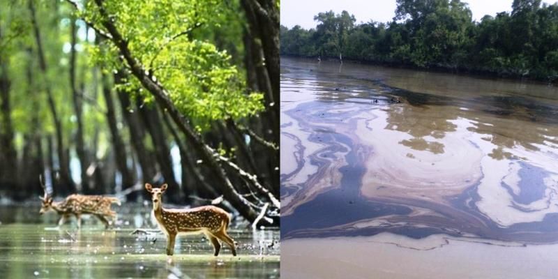 When a power project generates fear in the Sunderbans
