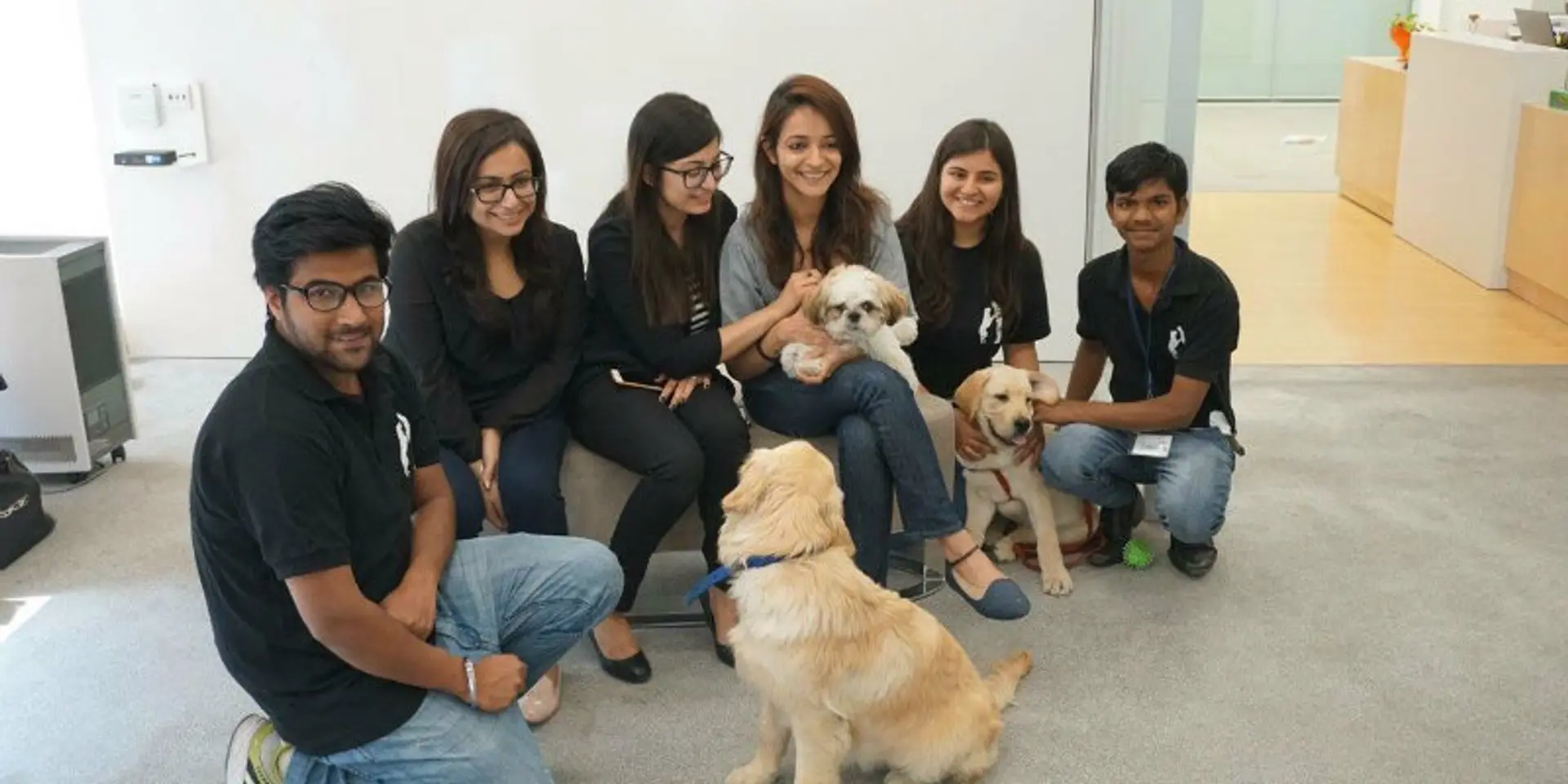 Fur Ball Story replaces the computer mouse with four-legged harbingers of joy
